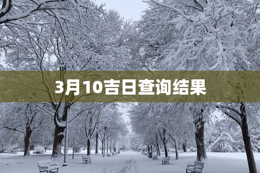 3月10吉日查询结果