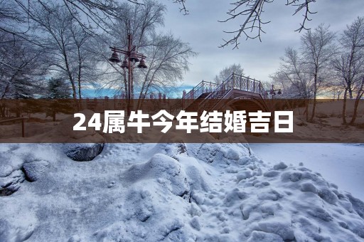 24属牛今年结婚吉日