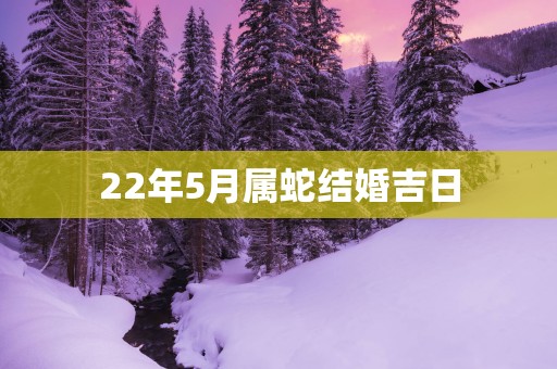 22年5月属蛇结婚吉日