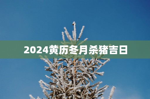 2025黄历冬月杀猪吉日