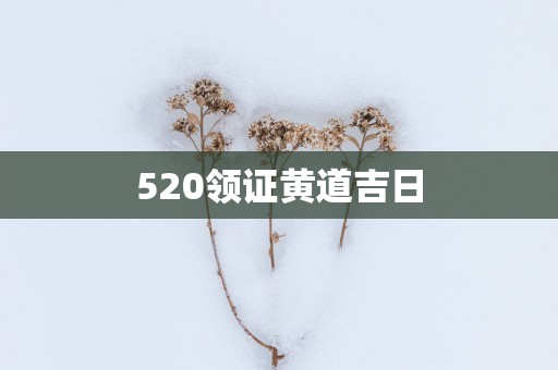 520领证黄道吉日