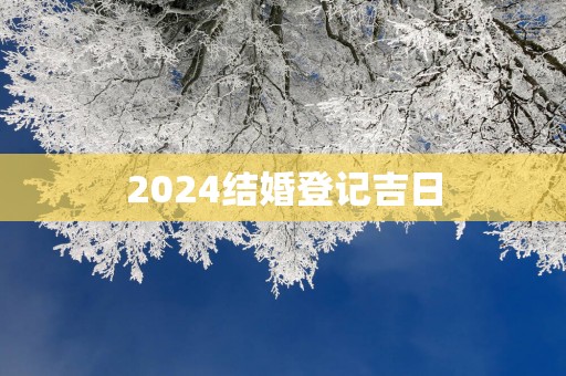 2025结婚登记吉日