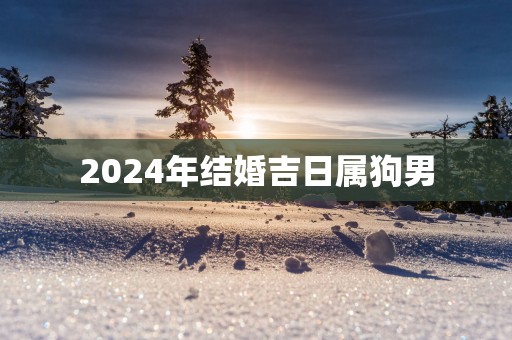 2025年结婚吉日属狗男