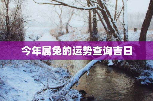 今年属兔的运势查询吉日
