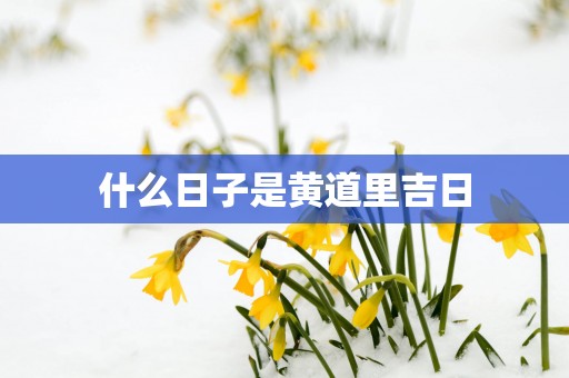 什么日子是黄道里吉日