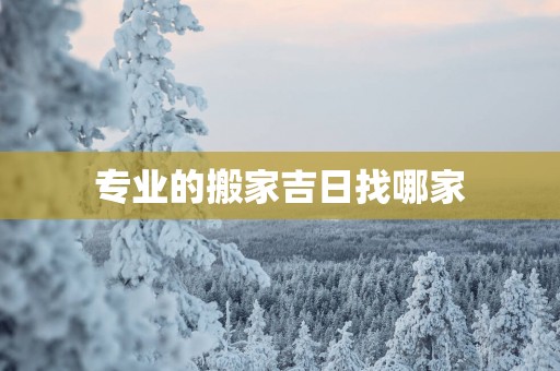 专业的搬家吉日找哪家