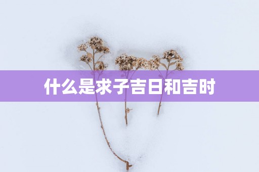 什么是求子吉日和吉时
