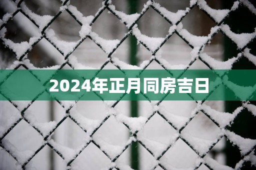 2025年正月同房吉日