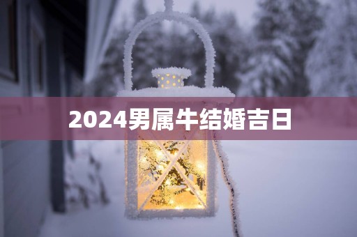 2025男属牛结婚吉日