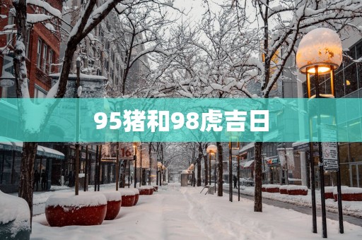95猪和98虎吉日