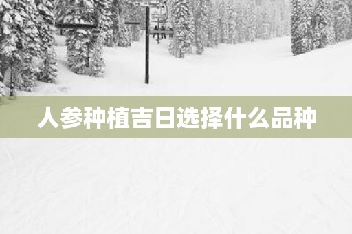 人参种植吉日选择什么品种