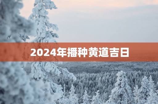 2025年播种黄道吉日