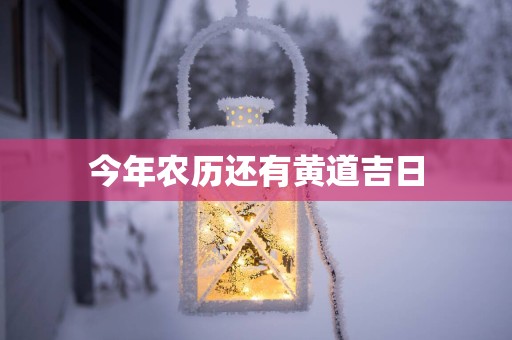 今年农历还有黄道吉日