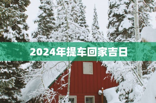 2025年提车回家吉日