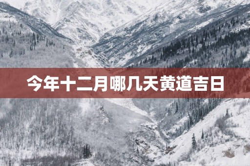 今年十二月哪几天黄道吉日