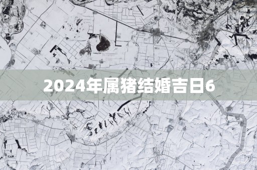 2025年属猪结婚吉日6