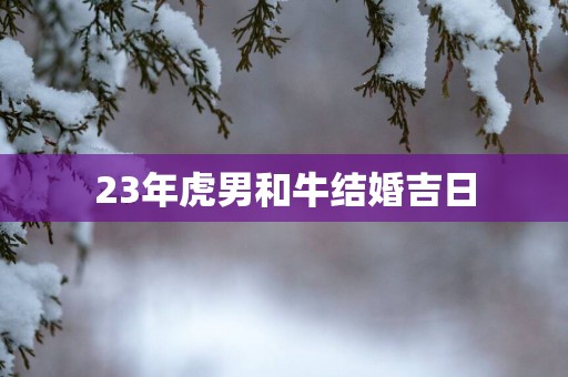 23年虎男和牛结婚吉日