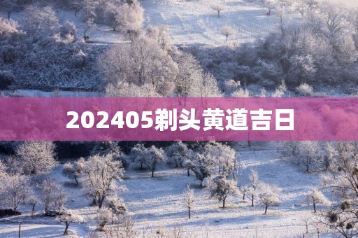202505剃头黄道吉日