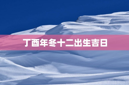 丁酉年冬十二出生吉日