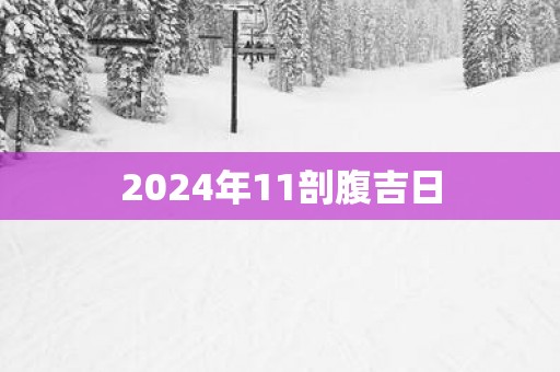 2025年11剖腹吉日