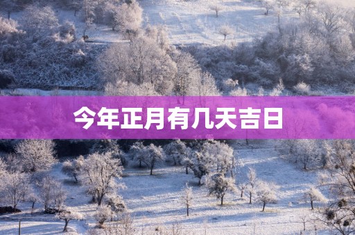 今年正月有几天吉日