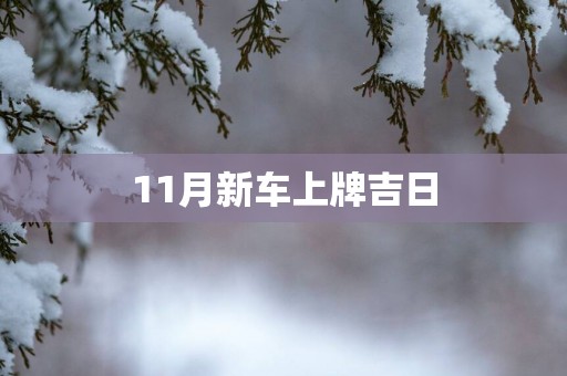 11月新车上牌吉日