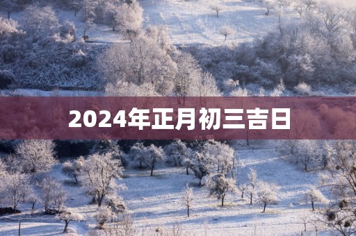 2025年正月初三吉日