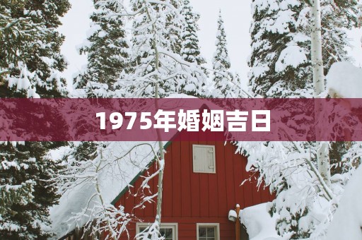 1975年婚姻吉日