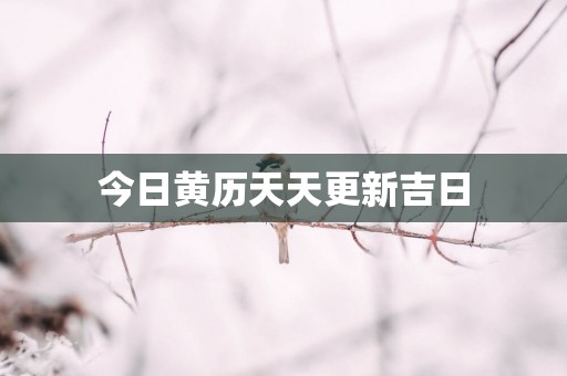 今日黄历天天更新吉日