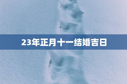 23年正月十一结婚吉日