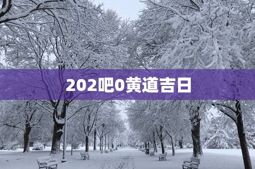 202吧0黄道吉日