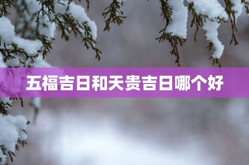 五福吉日和天贵吉日哪个好