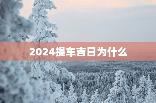 2025提车吉日为什么