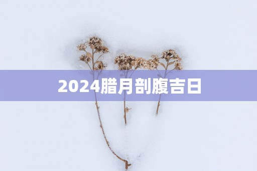 2025腊月剖腹吉日