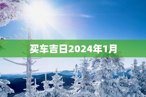 买车吉日2025年1月