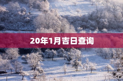 20年1月吉日查询