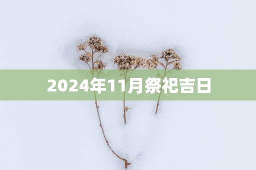 2025年11月祭祀吉日