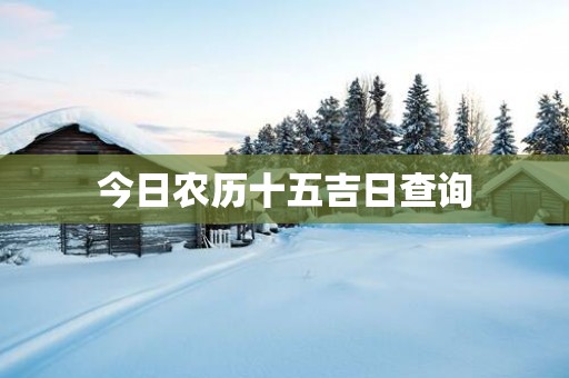今日农历十五吉日查询