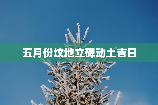 五月份坟地立碑动土吉日