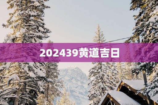 202539黄道吉日