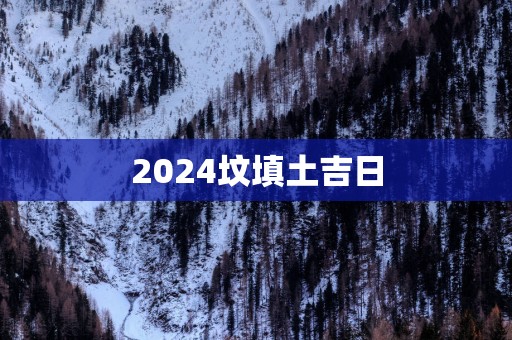 2025坟填土吉日