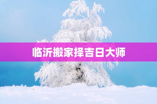 临沂搬家择吉日大师