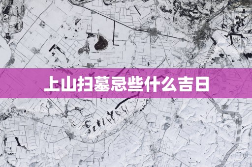 上山扫墓忌些什么吉日