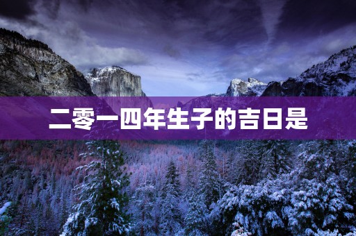 二零一四年生子的吉日是