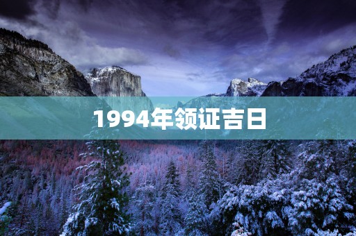 1994年领证吉日