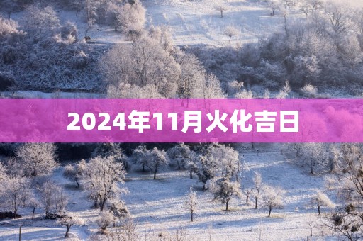 2025年11月火化吉日