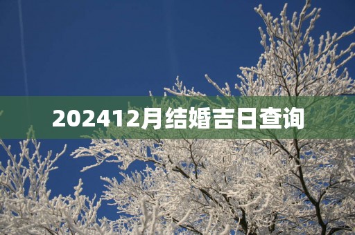 202512月结婚吉日查询