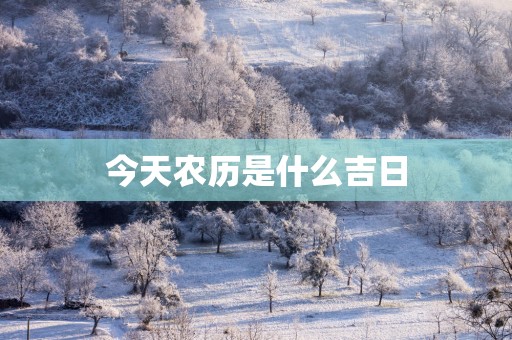 今天农历是什么吉日