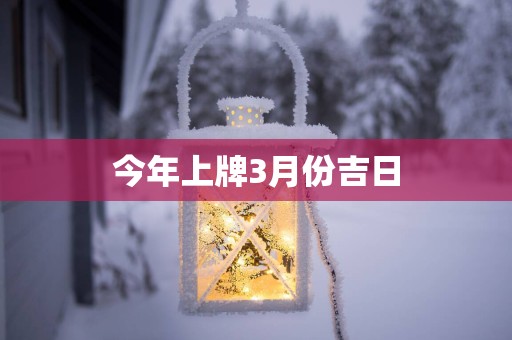 今年上牌3月份吉日