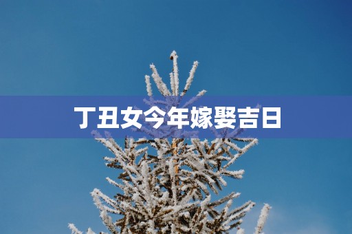 丁丑女今年嫁娶吉日